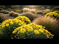 Download Lagu Мелодии, которые исцеляют сердце 🌿 Великолепная музыка Сергея Грищука
