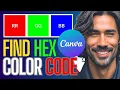 How To Find The Hex Code of An Image Using Canva
