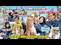 Download Lagu FINALLY ASSLAH REVEAL MUKA KUCING ASSRY !! DRAMA KACIP ASSRY IS BACK !! KUCING OYEN RM7000 ?!! 