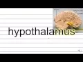 MCAT Psychology Cram Flashcards 66 6A Sensing Structure of the central nervous system