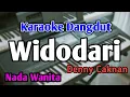 Widodari - Karaoke || Nada Wanita || Versi Koplo || Audio HQ || Live Keyboard