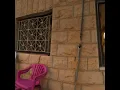 Ameer Dandan Wedding Music (Live)