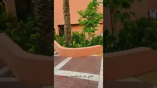 فيديو الاماكن كلها مشتاقه محمد عبده حالات واتس اب مقاطع ورد دندنها