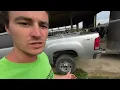 Cleaning Heifer Barn & Drilling Triticale