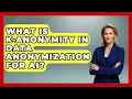 What Is K-anonymity In Data Anonymization For AI - AI and Technology Law