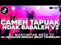 Lagu DJ MINANG TERBARU || CAMEH TAPUAK NDAK BA BALEH || DJ MANYIMPAN RASO V2 || VIRAL TIKTOK🔥