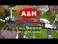 Large Tree Removal Operation in Bergen County NJ Expert Tree Pruning services by A H Tree Service