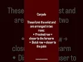Download Lagu Bones of hand #youtubeshorts #viral #viralvideo #shortvideo #shorts #youtube #like #trending #trend