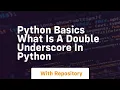 Python basics what is a double underscore in python