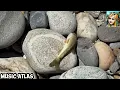 Download Lagu موسيقى امزيغية رئعة مع جبال🏞️ افغانستان الجميلة 🌄 (∆ music atlas ∆)