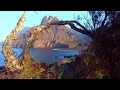 Beautiful Relaxing Music with Ocean Waves and Seagulls: Soothing Piano, Sleep Music, Stress Relief