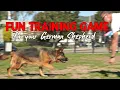 German Shepherd Training Game - make Obedience Fun for your DOG