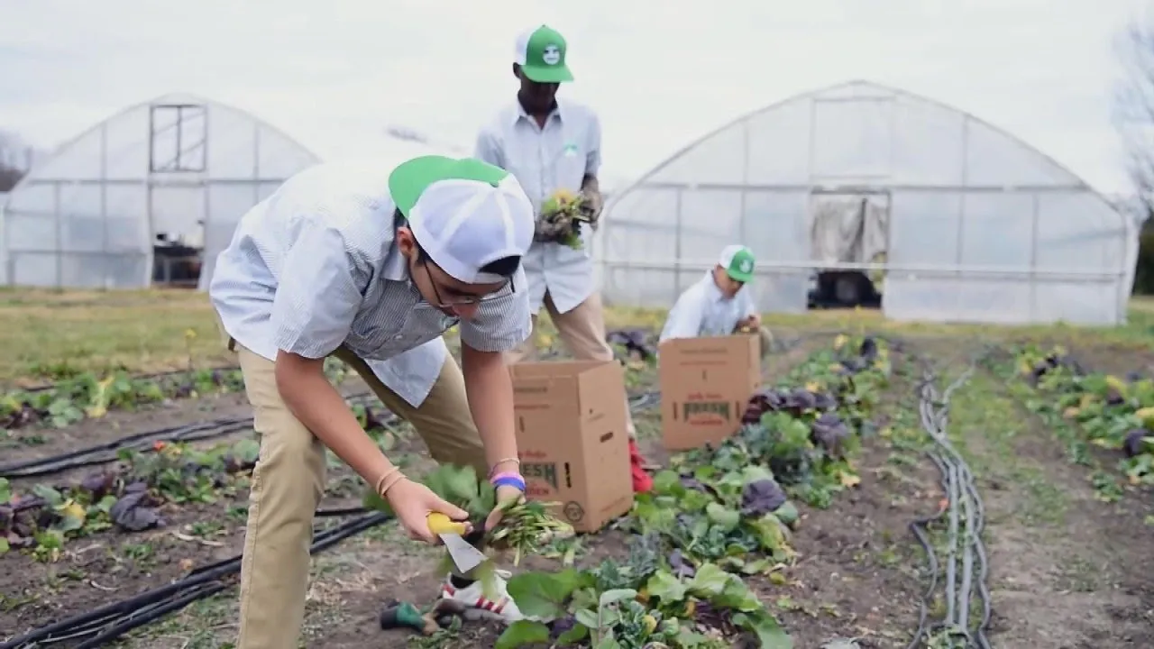 Boys Grow Farm Grows a Lot More Than ProduceIt Grows Future Farmers + Chefs, Too