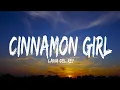 Lagu Lana Del Rey - Cinnamon Girl (Lyrics)