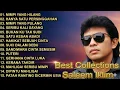 Lagu TOP 15 HITS Saleem Iklim | Semua Lagu Wajib Ada | Kompilasi Emas Malaysia Paling Populer