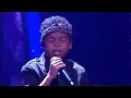 Download Lagu AMIR SISI \u0026 PUTERA - TAMAN RASHIDAH UTAMA (COVER)