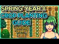 DON T FORGET THESE DATES Spring Year 1 Crop Planting Checklist - Stardew Valley 1 5