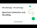 Specimen Collection and Handling Parasitology ASCP MLS Prep
