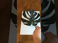 Turning My Monstera Houseplant Into Art