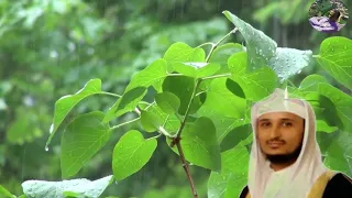 سورة البقره للقارئ فارس عباد مع صوت المطر حلق بروحك لسماء 