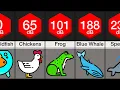 Comparison Loudest Animals