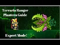 Expert Mode Plantera Guide 1 4