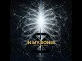 In My Bones - Silent Theory