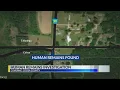 Human remains found investigation in Coosa County
