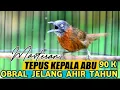JELANG AHIR TAHUN || PROMO PARBENG TEPUS ABU CUMA 60 / 90 RIBUAN DI PASAR BURUNG PRAMUKA 