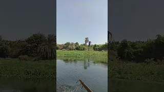 جزر النيل بالأقصر  جزر النيل بالأقصر