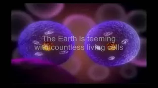 Cell Division And The Cell Cycle  Cell Division And The Cell Cycle