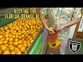 Orange Ice Cream and Family Heritage in Highlands County FL Florida Road Trip