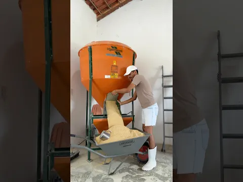 Fazendo ração das galinhas!