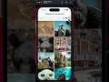 NativeScript CollectionView - Dynamic change layout issue