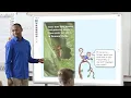How to Use Raz-Plus Shared Reading Books