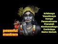 Download Lagu Krishnaya Vasudevaya Haraye Paramatmane mantram