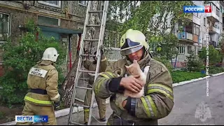 «Вести Омск», итоги дня от 18 мая 2023 года