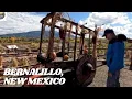 Adventures in Bernalillo NM