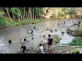 Download Lagu INDONESIË 🇮🇩 Topbestemmingen Laatste Beroemde Lokale Natuurtoerisme