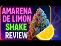 A Zip for the Dub Worth it Puffy Amarena de Limon Exotic THCA Shake Potent Perspectives Review