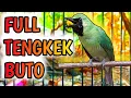 Download Lagu CUCAK IJO T3MB4K4N RAPAT TENGKEK BUTO FULL GACOR