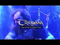 Download Lagu TRIDDANA - Dare to Tame Me (Official Music Video) [Celtic Folk Metal]