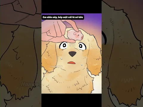 Chú chó cứu hộ!