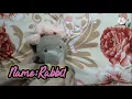 Rabbit Studio.🐰 || Hislerem || Cover by Rabbit and his family😊