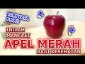 Download Lagu TERNYATA BISA!! INILAH MANFAAT BUAH APEL MERAH BAGI KESEHATAN