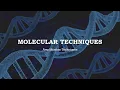 Molecular Techniques Amplification Techniques