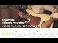 Sábado Perpetuo - Enjambre (Bass Cover with Tab)