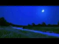 Download Lagu Summer Night Ambience - Crickets, Cicadas \u0026 Wind Blowing Through Grass at Night