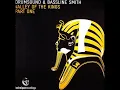 Drumsound & Bassline Smith- Newsflash (HQ)