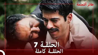 الحلقة 7 طائر النمنمة 